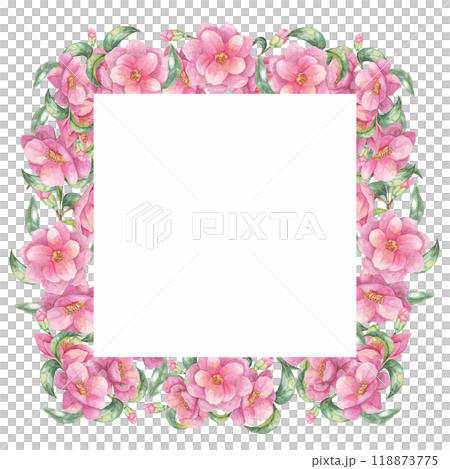Camellia japonica watercolor clipart showcasing lush pink flowers surrounding a white square frame. This beautiful design is perfect for creating elegant cards, digital artwork, and personalized gifts 118873775