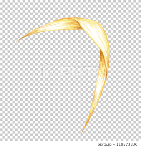 Single oat leaf, elegantly curved and rendered in soft golden hues. Watercolor clipart grass. Botanical illustration for natural product packaging, herbal supplement labels, and eco-friendly designs 118873830
