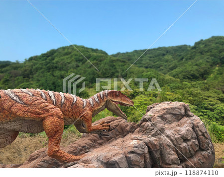 草食恐竜・フクイラプトル 草食恐竜・フクイラプトル 118874110