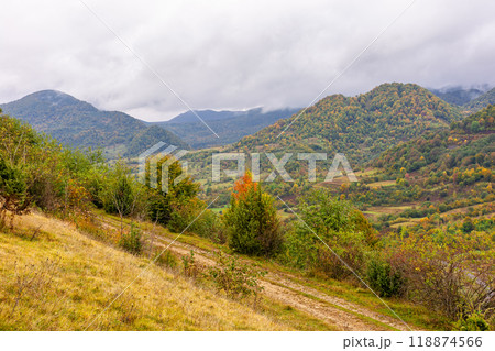 mountainous countryside of ukraine in fall season. cloudy weather. forest on the slope in colorful foliage. remote carpathian valley mountainous countryside of ukraine in fall season. cloudy weather. forest on the slope in colorful foliage. remote carpathian valley 118874566