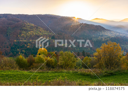 mountain landscape with valley on a foggy morning. trees on the hills in colorful foliage. fall season in carpathian mountains of ukraine. remote countryside 118874575