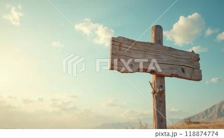 an empty sign board on the background of a bright sky and field, a plaque made of wood, old and weathered 118874774