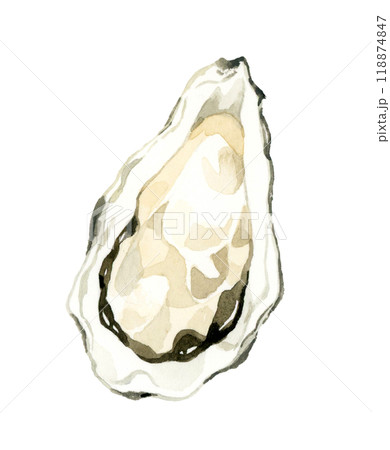 牡蠣　料理・食べ物の手描き水彩イラスト素材 118874847