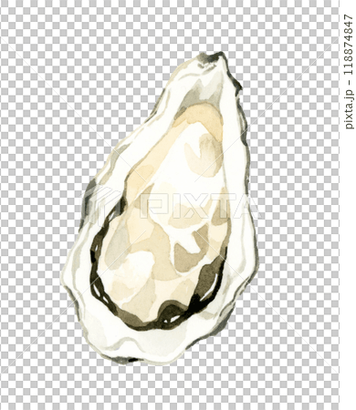 牡蠣　料理・食べ物の手描き水彩イラスト素材 118874847