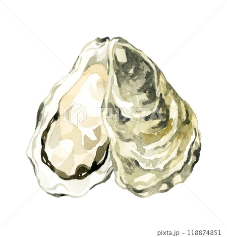 牡蠣 料理・食べ物の手描き水彩イラスト素材のイラスト素材 [118874851