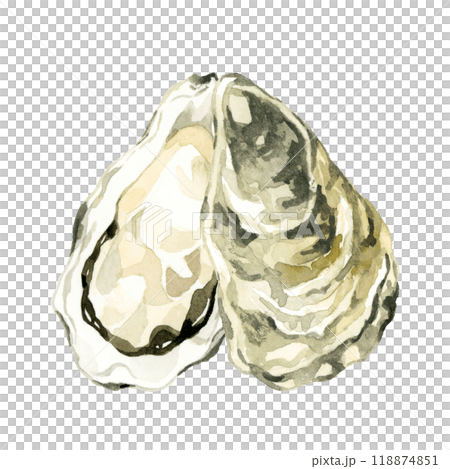 Oysters - Hand-drawn watercolor illustrations of cuisine and food 118874851