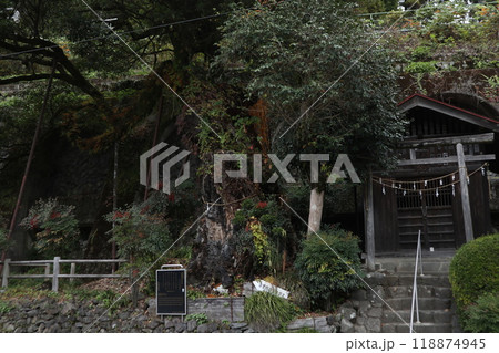 奥多摩　古里附のイヌグス 118874945