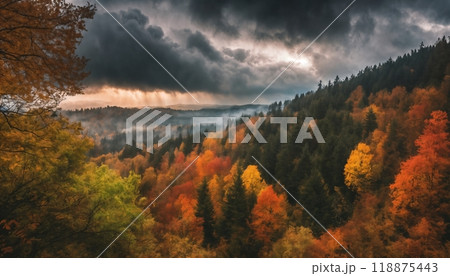 valley and forest in the autumn season, beautiful nature, rainy weather, cloudy 118875443