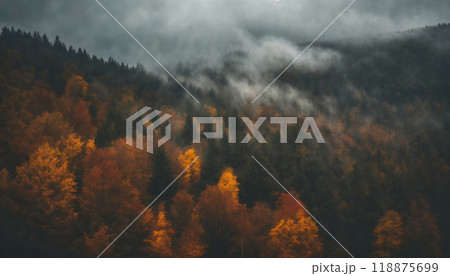 dramatic sky and forest in the autumn season, beautiful nature, rainy weather, cloudy 118875699