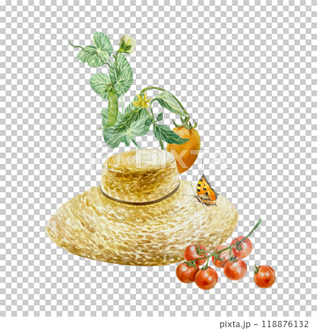 Straw hat in vegetable garden with tomatoes, peas, butterfly. Hand drawn watercolor illustration isolated on white. For cards and invitations on Vegetarian and Harvest Day, labels, posters, banners. Straw hat in vegetable garden with tomatoes, peas, butterfly. Hand drawn watercolor illustration isolated on white. For cards and invitations on Vegetarian and Harvest Day, labels, posters, banners. 118876132