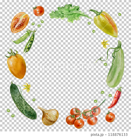 Vegetables wreath. Round frame of tomatoes, cucumber, zucchini, peppers, onions. Watercolor illustration isolated on white. Cards, invitations for Vegetarian and Harvest Day, labels, posters, covers. 118876133