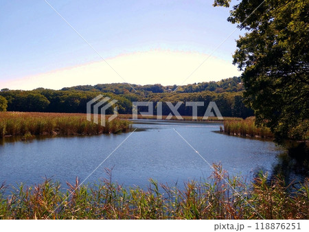 秋深い一碧湖風景 118876251