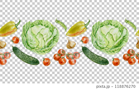Vegetables seamless border, horizontal. Cabbage, cucumbers, tomatoes, onions, peas. Hand drawn watercolor illustration isolated on white. For wrapping paper, textile, covers, fabric, wallpaper. Vegetables seamless border, horizontal. Cabbage, cucumbers, tomatoes, onions, peas. Hand drawn watercolor illustration isolated on white. For wrapping paper, textile, covers, fabric, wallpaper. 118876270