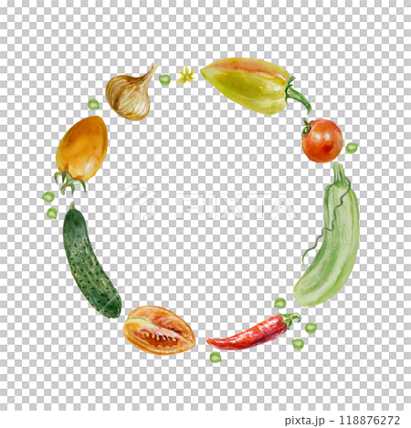 Vegetables wreath. Round frame of tomatoes, cucumber, zucchini, peppers, onions. Watercolor illustration isolated on white. Cards, invitations for Vegetarian and Harvest Day, labels, posters, covers. Vegetables wreath. Round frame of tomatoes, cucumber, zucchini, peppers, onions. Watercolor illustration isolated on white. Cards, invitations for Vegetarian and Harvest Day, labels, posters, covers. 118876272