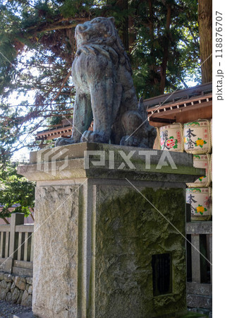 諏訪大社 下社春宮 参道の狛犬 諏訪大社 下社春宮 参道の狛犬 118876707