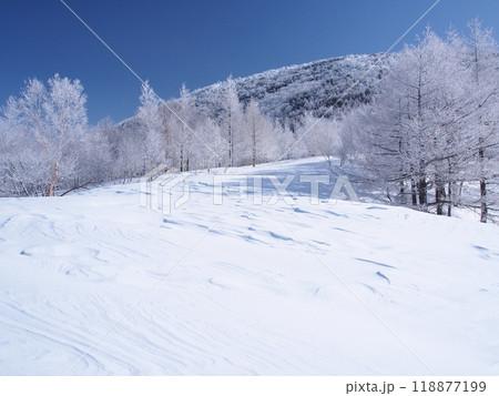 カラマツの霧氷と湯ノ丸山 118877199