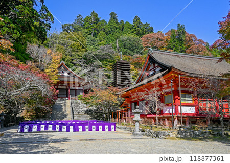 奈良・桜井市 談山神社 神廟拝所周辺 奈良・桜井市 談山神社 神廟拝所周辺 118877361