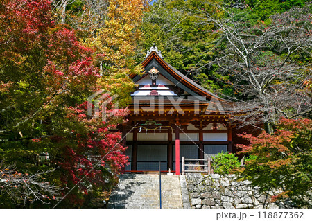 奈良・桜井市 談山神社 権殿 118877362