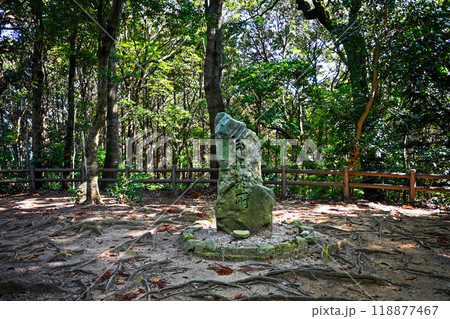 奈良・桜井市 談山 御相談所 石碑 奈良・桜井市 談山 御相談所 石碑 118877467