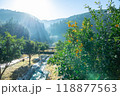 実りの柚子 118877563