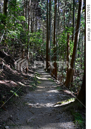 奈良・桜井市 談山神社 三天稲荷神社 参道 118877695
