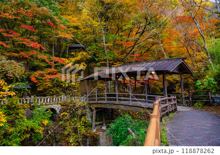 秋の鹿教湯温泉　上田市 118878262