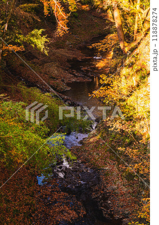 鹿教湯温泉散策　内村川 118878274
