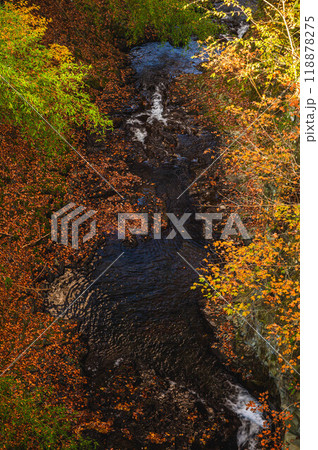 鹿教湯温泉散策　内村川 118878275