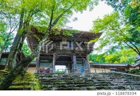 京都市右京区 高尾山神護寺の楼門 京都市右京区 高尾山神護寺の楼門 118878334