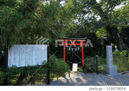 埼玉の風景 埼玉の風景 118879054