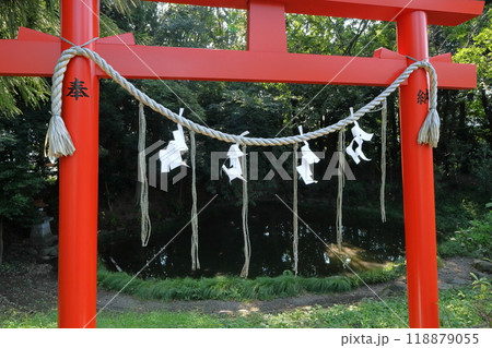 埼玉の風景 118879055