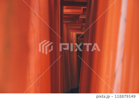 鳥居と鳥居の間の光景 118879149