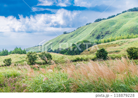【静岡県】伊豆稲取の細野高原　秋 118879228