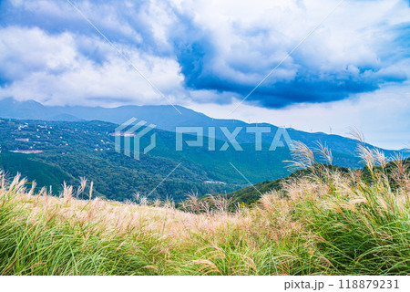 【静岡県】伊豆稲取の細野高原　秋 118879231