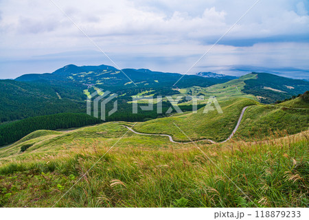 【静岡県】伊豆稲取の細野高原　秋 118879233