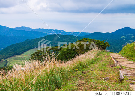 【静岡県】伊豆稲取の細野高原　秋 118879239