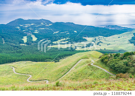 【静岡県】伊豆稲取の細野高原　秋 118879244