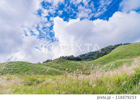 【静岡県】伊豆稲取の細野高原　秋 118879253