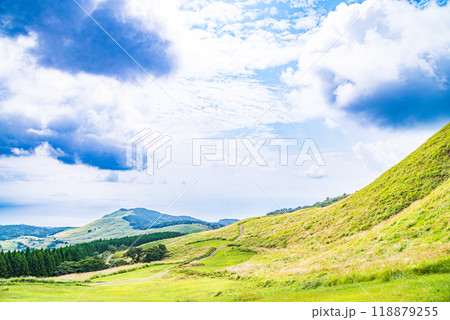 【静岡県】伊豆稲取の細野高原　秋 118879255