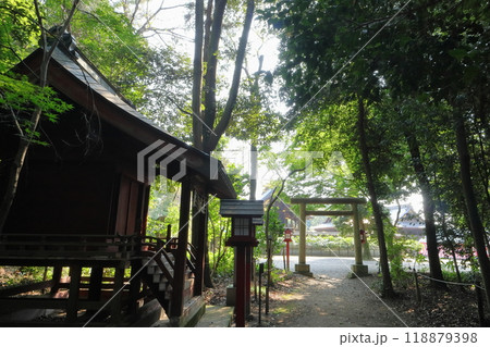 埼玉の風景 埼玉の風景 118879398