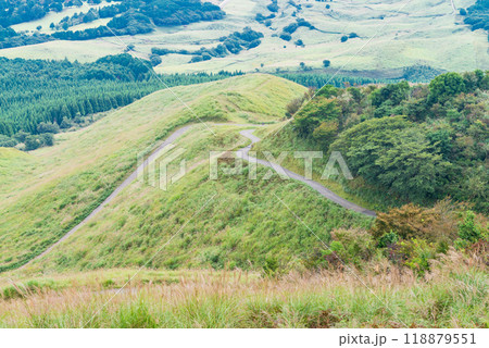 【静岡県】秋の伊豆稲取細野高原 【静岡県】秋の伊豆稲取細野高原 118879551