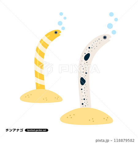 チンアナゴ イラスト チンアナゴ イラスト 118879582