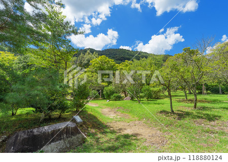 夏の嵐山公園亀山地区 夏の嵐山公園亀山地区 118880124