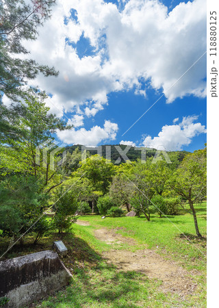 夏の嵐山公園亀山地区 夏の嵐山公園亀山地区 118880125