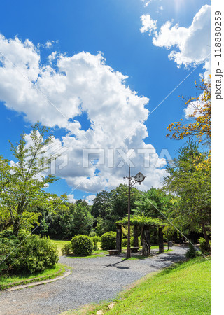 夏の嵐山公園亀山地区 118880259