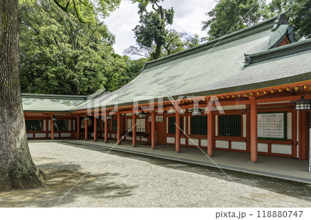 大宮 氷川神社 回廊 埼玉県さいたま市 大宮 氷川神社 回廊 埼玉県さいたま市 118880747