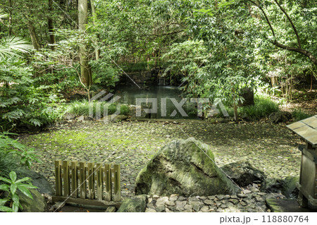 大宮 氷川神社 蛇の池 埼玉県さいたま市 大宮 氷川神社 蛇の池 埼玉県さいたま市 118880764