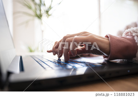 Female hands typing and using laptop computer 118881023