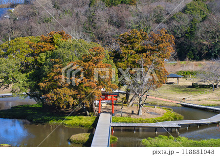 【神奈川県】厳島湿生公園 118881048