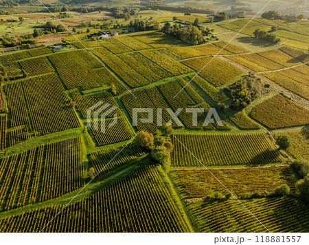 Aerial view, Bordeaux vineyard, landscape vineyard south west of france, Sainte-Croix-du-Mont Aerial view, Bordeaux vineyard, landscape vineyard south west of france, Sainte-Croix-du-Mont 118881557